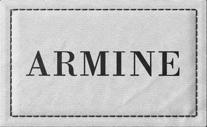 armine logo